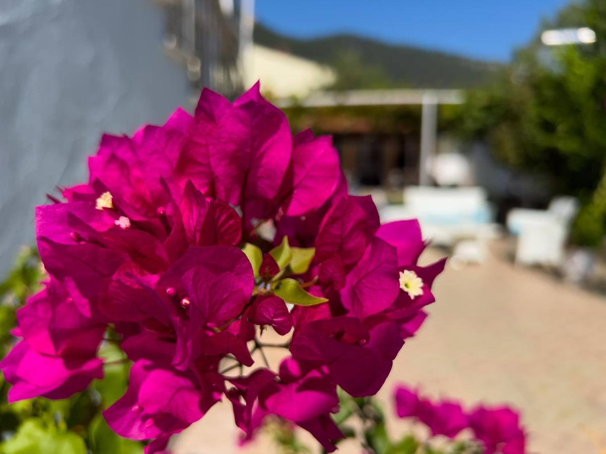 Hotel apartamentowy Romantika 3*